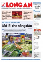 Báo ngày 11/5/2017