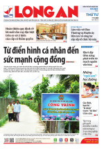 Báo ngày 11/6/2025