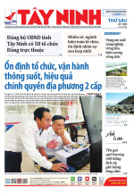 Báo ngày 04/7/2025