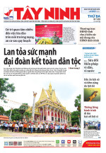 Báo ngày 08/7/2025