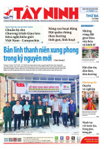 Báo ngày 15/7/2025