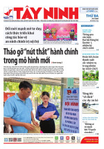 Báo ngày 29/7/2025
