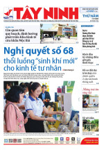 Báo ngày 31/7/2025