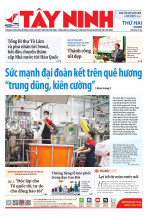 Báo ngày 11/8/2025