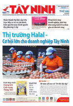 Báo ngày 25/8/2025