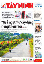 Báo ngày 11/9/2025