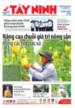 Báo ngày 12/9/2025