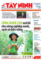 Báo ngày 07/10/2025