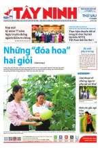 Báo ngày 17/10/2025