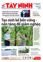 Báo ngày 29/10/2025