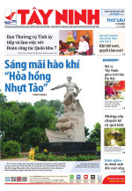 Báo ngày 31/10/2025