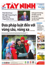 Báo ngày 07/11/2025