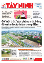 Báo ngày 11/11/2025