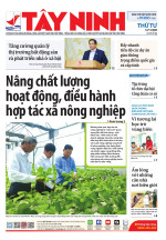 Báo ngày 12/11/2025