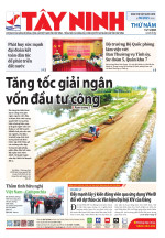 Báo ngày 13/11/2025