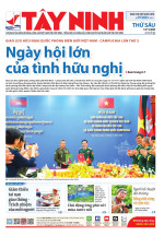 Báo ngày 14/11/2025