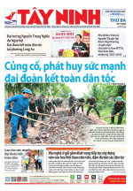 Báo ngày 18/11/2025