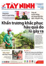 Báo ngày 24/11/2025