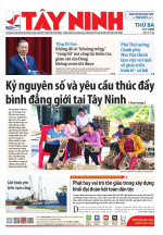 Báo ngày 25/11/2025