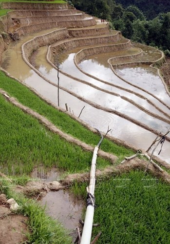 Người Mông ở xã La Phán Tẩn vỡ đất, đào mương, đào rãnh, đắp bờ tạo hệ thống dẫn nước tưới tiêu từ đỉnh núi vào ruộng. (Ảnh: Trọng Chính)