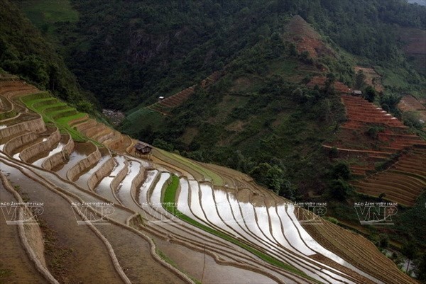 Do địa thế đồi núi dốc, nhiều nơi ở Mù Cang Chải, người dân phải chọn những sườn đồi để tạo nên những thửa ruộng bậc thang nằm lưng chừng trên chiều cao hàng ngàn mét bởi chính đôi tay trần khéo léo của mình. (Ảnh: Trọng Chính)