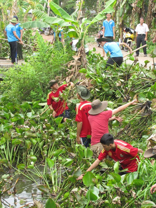 Tham gia vớt lục bình tại xã An Vĩnh Ngãi, TP.Tân An