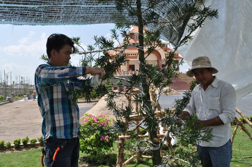 Các nghệ nhân Phạm Thanh Tú và Nguyễn Văn Hùng, ở Cai Lậy, Tiền Giang, cắt tỉa cây cảnh nghệ thuật