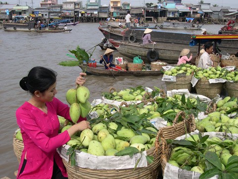 Ấn tượng chợ nổi - Nổi danh với hình ảnh nhiều loại trái cây đầy ắp trên các ghe, thuyền tại chợ nổi. Một khi đã chọn “vương quốc trái cây” là điểm đến, khi trở về, bạn sẽ “căng bụng” với các đặc sản của nơi đây.