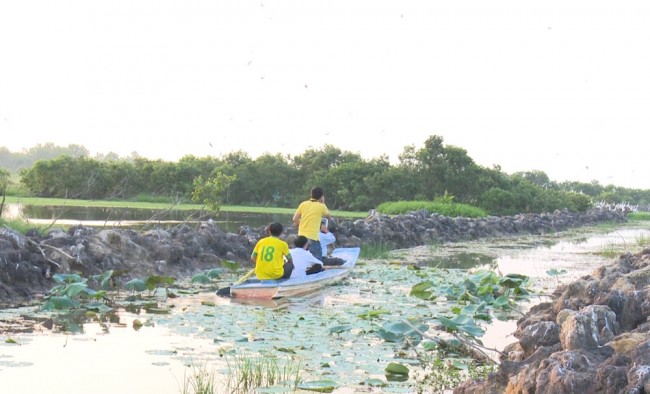 Đến với Khu Bảo tồn đất ngập nước Láng Sen, du khách có thể thong dong trên những chiếc xuồng chạy dọc quanh khu sinh thái