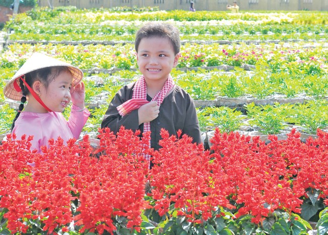 Cô lựa đi, hoa xác pháo này chưng tết đẹp lắm đó!