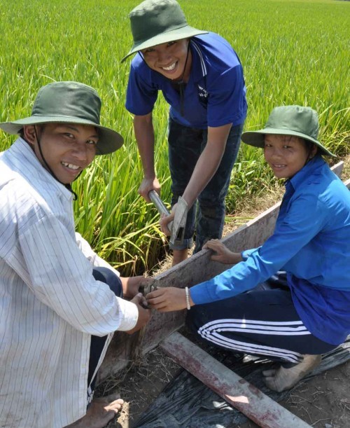 Lao động là niềm vui