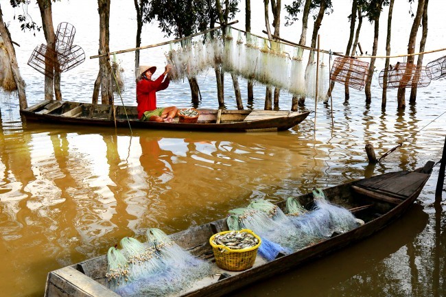 Returnee of fish season
