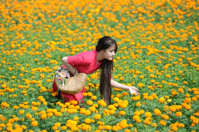 Flowers garden on nearly Tet holiday