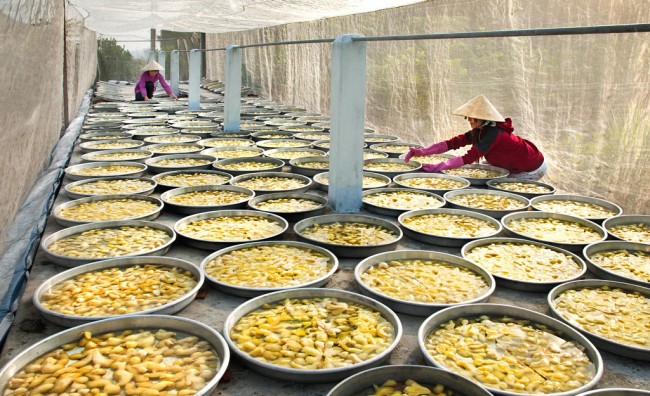 Making jam for Tet in Tan Tru District