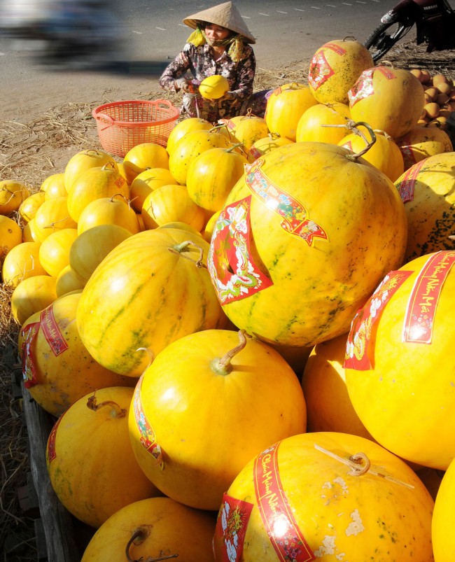 Markets on the pavements