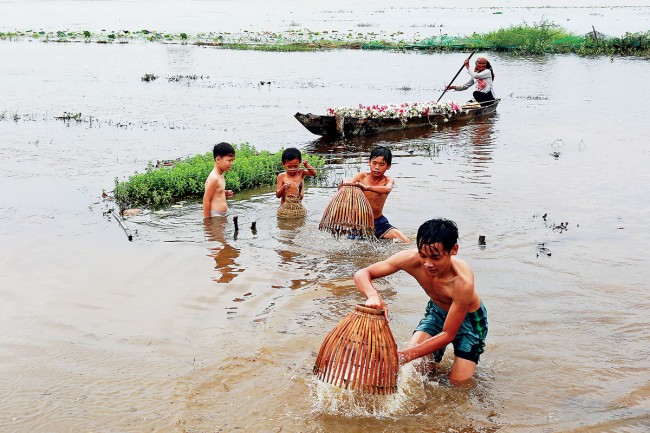 Bắt cá mùa lũ Đồng Tháp Mười