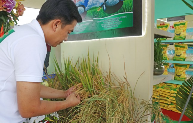 8. The 3rd Vietnam Rice Festival