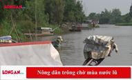 Nông dân trông chờ mùa nước lũ