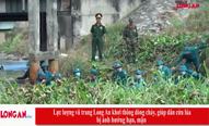 Lực lượng vũ trang Long An vớt cỏ rác, lục bình ở kênh giúp dân cứu lúa bị ảnh hưởng hạn, mặn