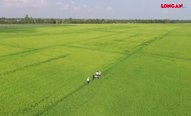 Long An ứng dụng công nghệ cao tạo sức bật cho nông nghiệp