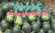 “Khoác áo mới” cho dưa hấu chưng Tết