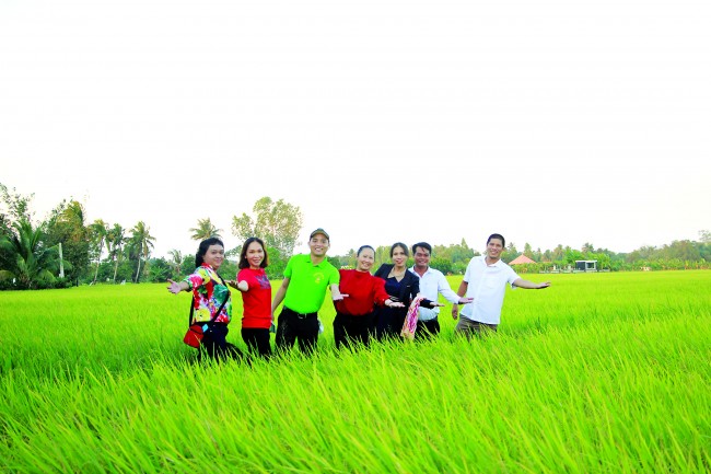 Hành trình xuôi dòng Vàm Cỏ Tây sẽ đưa du khách đến với khung cảnh yên bình của vùng quê Long An (Trong ảnh: Cánh đồng lúa thuộc cù lao Mỹ An, huyện Thủ Thừa)