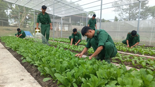Tăng gia sản xuất chuẩn bị đón tết