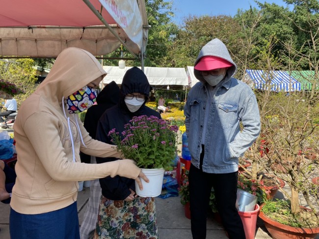 Người dân lựa chọn các chậu hoa chưng tết