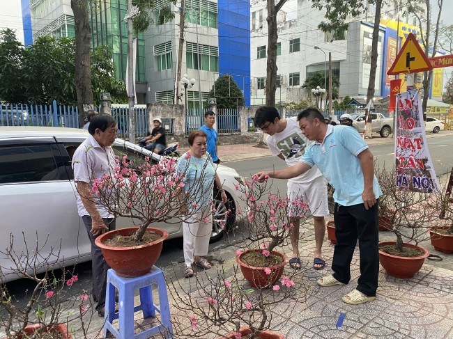 Hoa Đào Nhật Tân được nhiều người lựa chọn