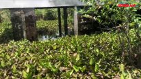Sử dụng điện chích cá, người đàn ông 55 tuổi tử vong dưới ao