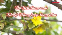 Du lịch làng mai – Khi ý Đảng hợp lòng dân