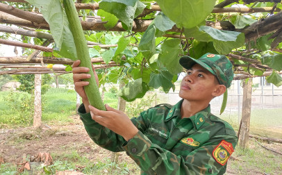 Tăng gia sản xuất, nâng cao đời sống cán bộ, chiến sĩ biên phòng