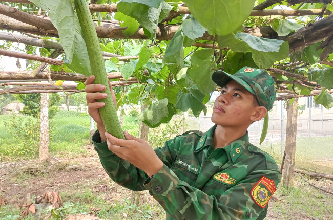 Sau giờ làm nhiệm vụ chính trị, cán bộ, chiến sĩ tham gia tăng gia sản xuất
