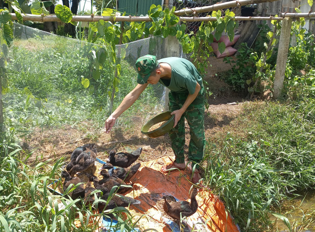 Nhờ duy trì tăng gia sản xuất,  Đồn Biên phòng Thạnh Trị chủ động nguồn thực phẩm tại chỗ, nâng cao giá trị dinh dưỡng bữa ăn, bảo đảm sức khỏe cán bộ, chiến sĩ trên 98,6%